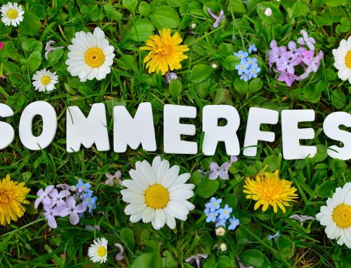Sommerfest im Camp Dapčevići